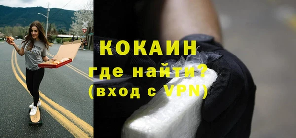 стаф Семилуки