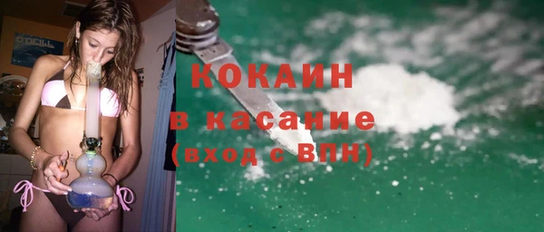 стаф Семилуки