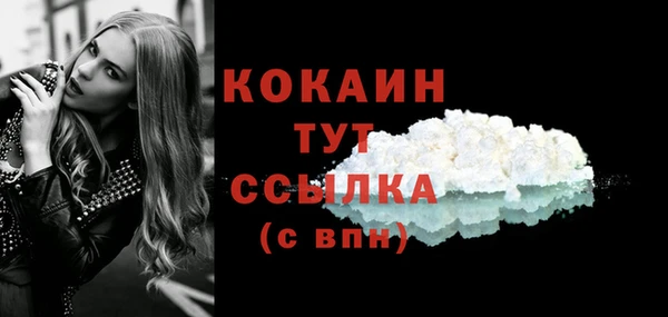 стаф Семилуки
