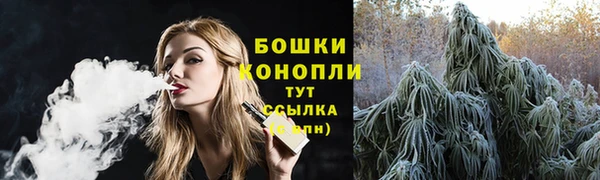 стаф Семилуки