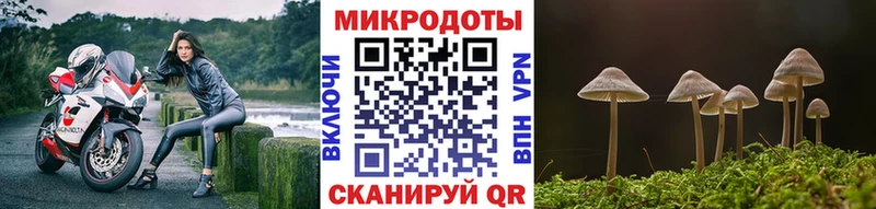 Галлюциногенные грибы Psilocybine cubensis  Купить  Лагань 